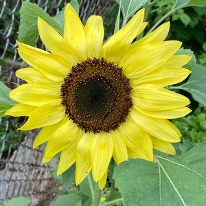 Meet your Posher, Lidia